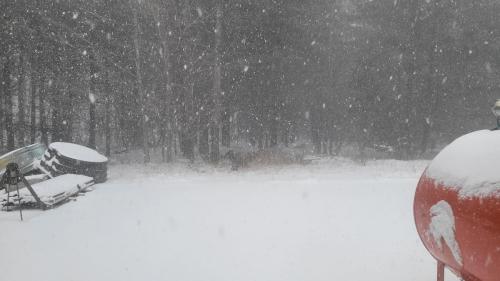 We didn't have much snow this winter, but it was pretty when it fell